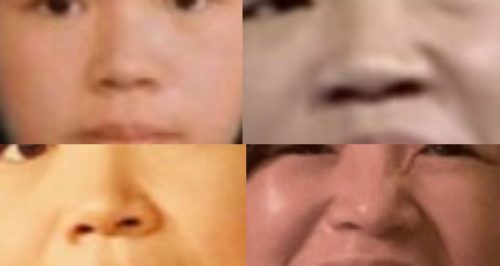 大久保佳代子の鼻