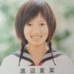 夏菜が整形か画像比較｜注目は「目」「鼻」