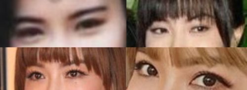 平子理沙の目