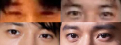向井理の目