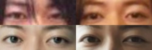 佐藤健の目