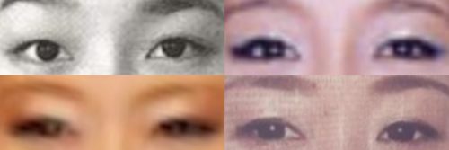 SILVAの目