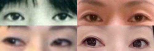 とよた真帆の目
