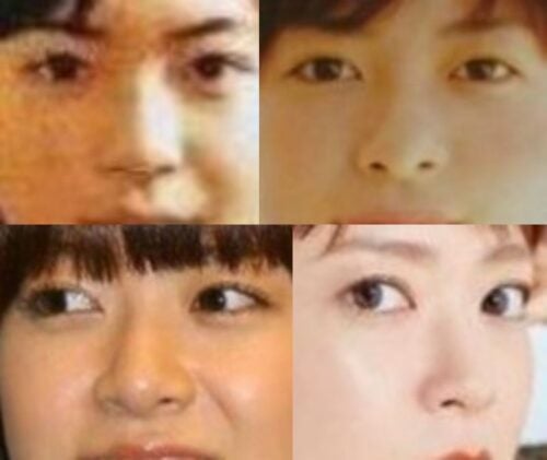 上野樹里の鼻