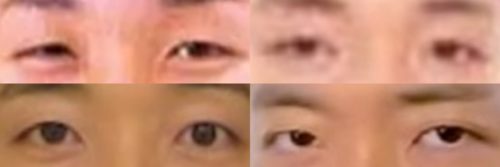 中田敦彦の目