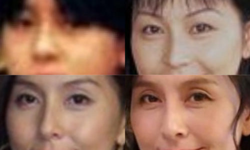 杉本彩の鼻