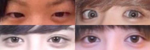 やっぴの目
