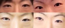 セイキンの目