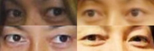 青山光司の目