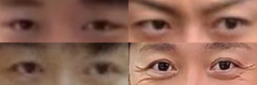 山本耕史の目