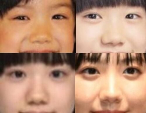芦田愛菜の鼻