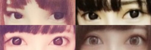 ちゃんももの目