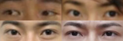 勝地涼の目