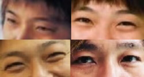 土肥ポン太の目