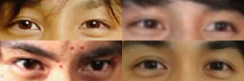 中村蒼の目