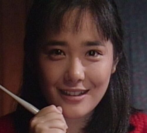 富田靖子2