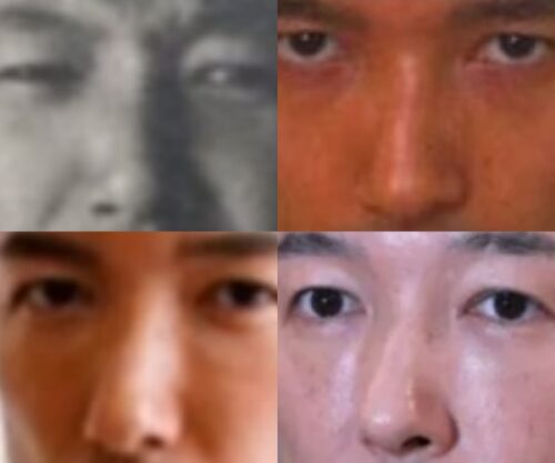 山本太郎の鼻