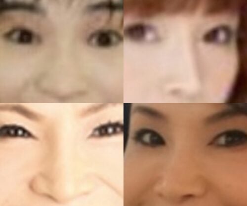 シルクの鼻