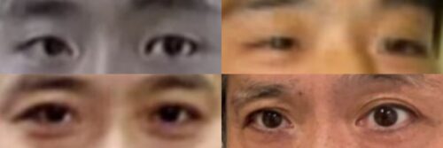 大鶴義丹の目