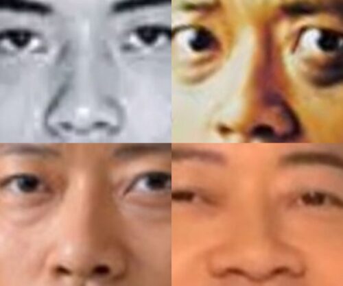 宮迫博之の鼻