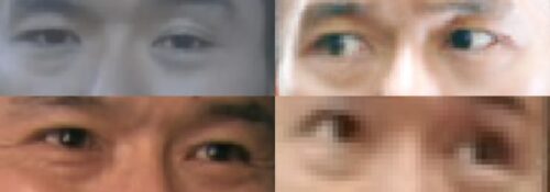 渡部篤郎の目