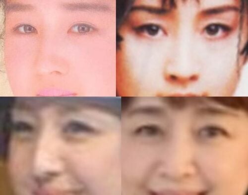 相田翔子の鼻