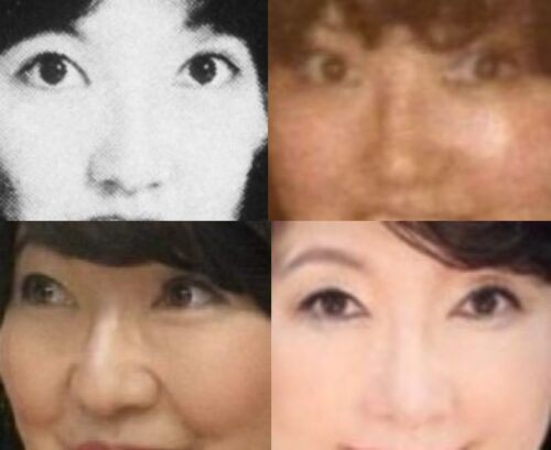 片山さつきの鼻