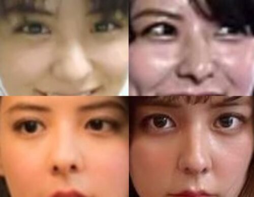 藤井美菜の鼻